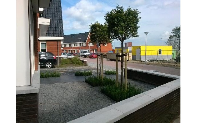 Voortuin met bomen