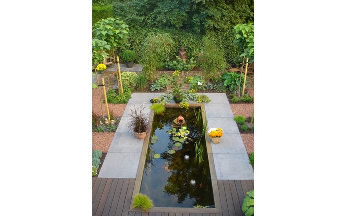 Vijver met beplanting